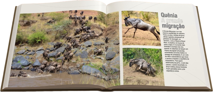 Página do livro Cem Destinos sobre Quênia